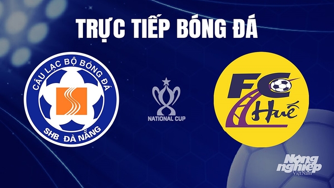 Trực tiếp bóng đá cúp Quốc gia 2023/24 giữa Đà Nẵng vs Huế hôm nay 25/11/2023
