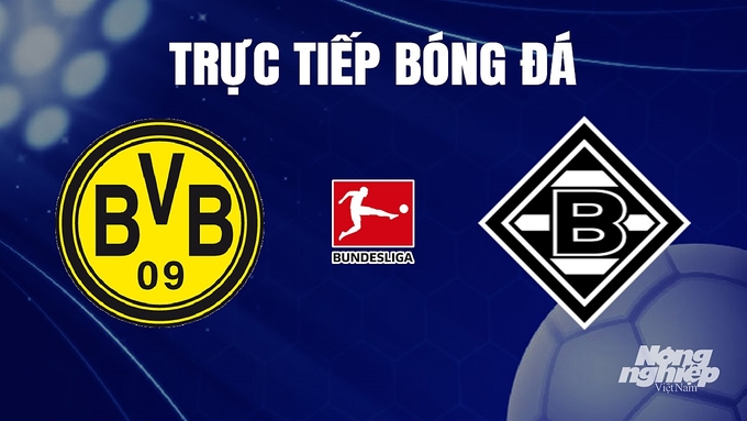 Trực tiếp bóng đá Bundesliga (VĐQG Đức) 2023/24 giữa Dortmund vs Gladbach hôm nay 25/11/2023