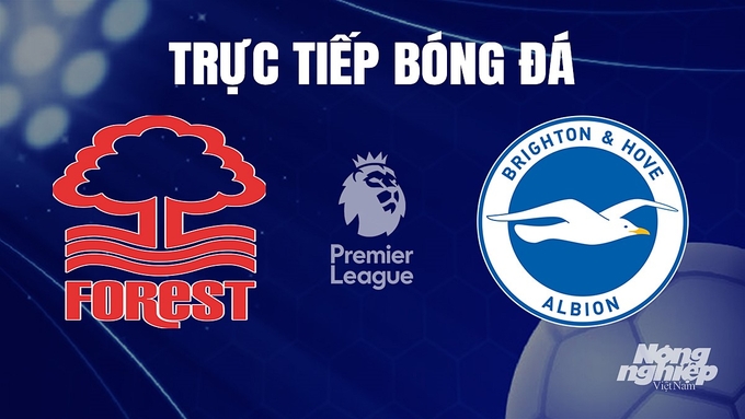 Trực tiếp bóng đá Ngoại hạng Anh giữa Nottingham Forest vs Brighton hôm nay 25/11/2023