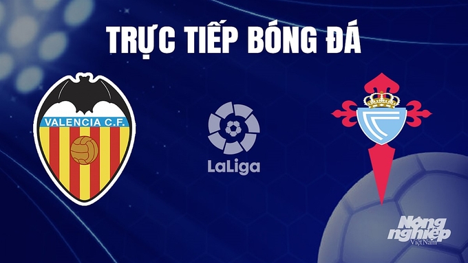 Trực Tiếp Bóng đá Valencia Vs Celta Vigo Hôm Nay 25112023