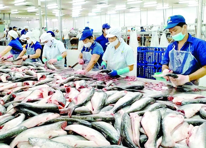 Middle Eastern countries have a great demand for seafood and agricultural products. Photo: TL.