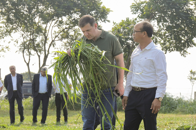 Ông Efremov Alexander Viktorovich hào hứng với những cánh đồng lớn trồng cỏ nguyên liệu làm thức ăn cho bò sữa TH.