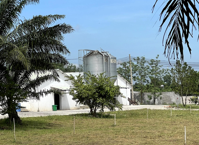 Trang trại nuôi gà công nghiệp xuất khẩu của HTX Nông nghiệp Công nghệ cao Long Thành Phát (Đồng Nai). Ảnh: Sơn Trang.