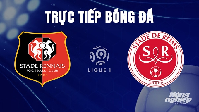 Trực tiếp bóng đá Ligue 1 (VĐQG Pháp) 2023/24 giữa Rennes vs Reims hôm nay 26/11/2023
