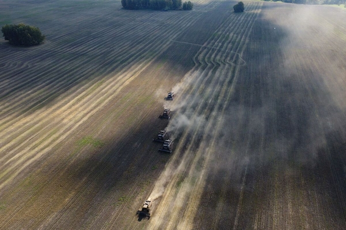 Wheat harvest in the Siberian Novosibirsk region.