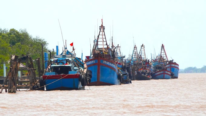 Ben Tre province has a developed seafood exploitation industry in the Mekong Delta. Photo: Kieu Nhi.