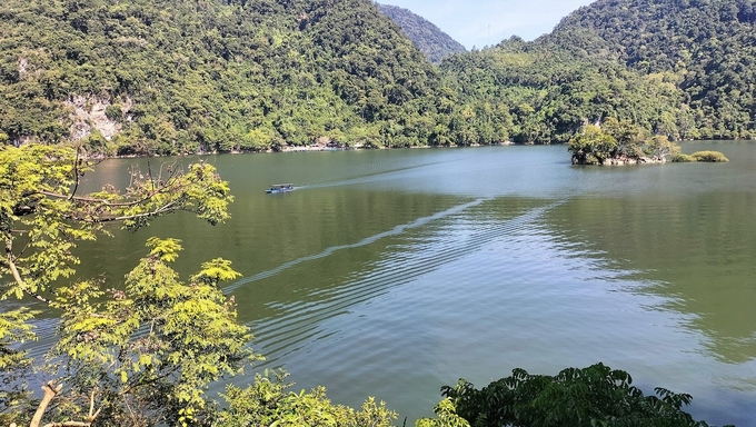 Hồ Ba Bể được ví như viên ngọc xanh giữa đại ngàn Việt Bắc. Ảnh: NT. 