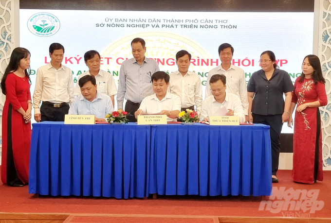 The Sub- Department of Quality Management for Agriculture, Forestry, and Fisheries of Can Tho City has signed a collaborative trading program with two provinces, Thua Thien - Hue and Ben Tre. Photo: Le Hoang Vu.