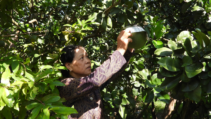 Người dân khu vực 'cổ rùa' trên cù lao Rùa có thể an giấc và yên tâm lao động sản xuất. Ảnh: Trần Trung.