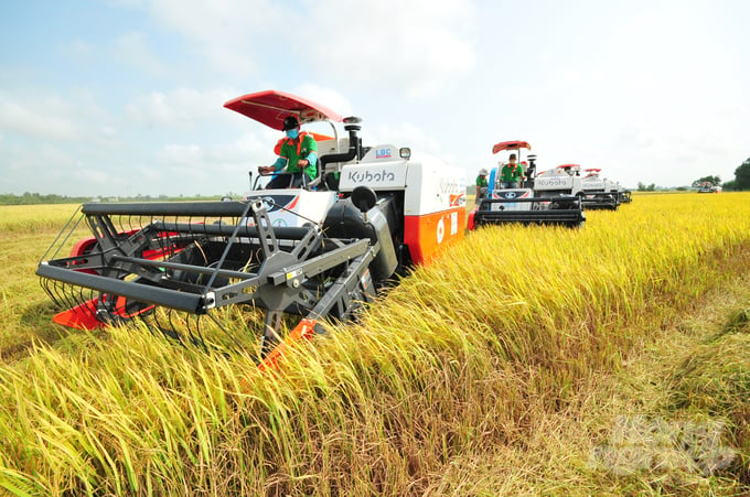 Bình quân hàng năm An Giang sản xuất hơn 630 nghìn ha lúa, cung cấp cho nhu cầu trong và ngoài nước. nong duoc viet nam