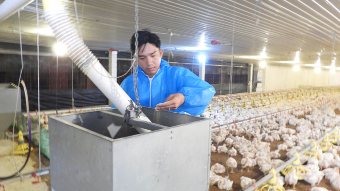 Việc ứng dụng hệ thống silo ăn uống tự động giúp hạn chế người ra vào trang trại, đảm bảo ATDB, tối ưu hóa chi phí sản xuất. Ảnh: Trần Trung.
