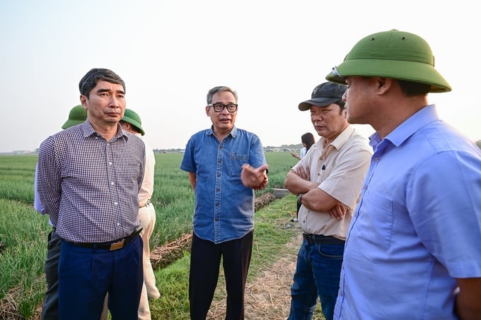 Mr. Nguyen Nhu Cuong, Director of the Department of Crop Production (center), sharing insights into the local winter crop production with delegates from northern provinces. Photo: Tung Dinh.