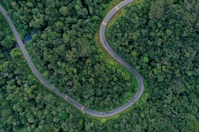 Vietnam is one of the top 10 countries globally with the highest increase in forest area and boasts the largest planted forest area in the world. Photo: Tung Dinh.