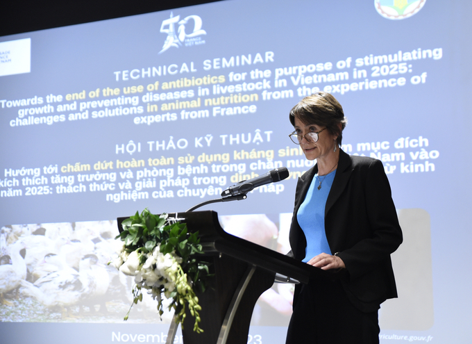 Bà Cécile Vigneau, Tham tán thứ nhất, Đại sứ quán Pháp đánh giá, vấn đề giảm sử dụng kháng sinh trong lĩnh vực chăn nuôi là một thách thức lớn. Ảnh: Linh Linh.