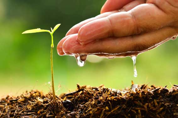 Addressing soil degradation requires comprehensive domestic and international efforts involving government policies, research initiatives, and awareness programmes.