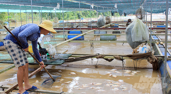 Năm 2023, trên địa bàn tỉnh Đồng Nai chủ yếu thiệt hại về nuôi trồng thủy sản của người dân. Ảnh: Minh Sáng.