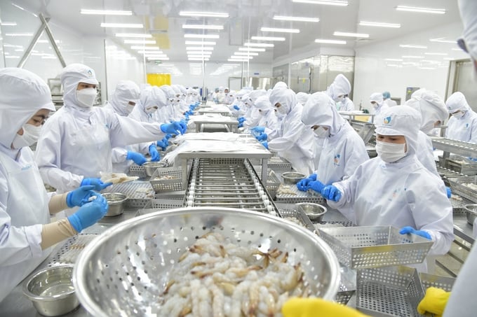 Vietnam's seafood export turnover in the first 11 months of 2023 reached 8.24 billion USD, marking a decrease of 18.9% compared to the same period in 2022. Photo: Hong Tham.