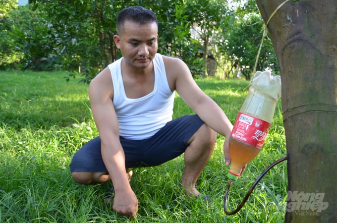 Một nông dân trồng cam ở Hòa Bình sử dụng bộ truyền dịch để chữa bệnh cho vườn cam bị bệnh vàng lá. Ảnh: Dương Đình Tường.