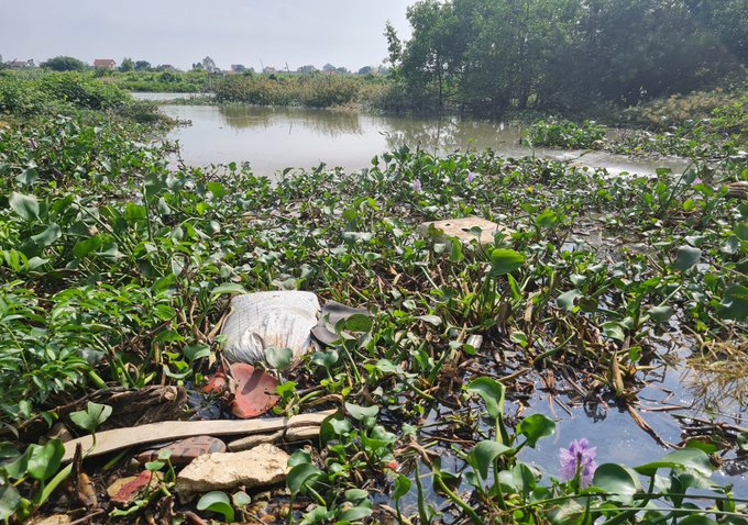 Sông Mai Giang ô nhiễm trầm trọng là nguyên nhân chính đẩy nghề nuôi tôm vào cảnh khốn khó. Ảnh: Việt Khánh.