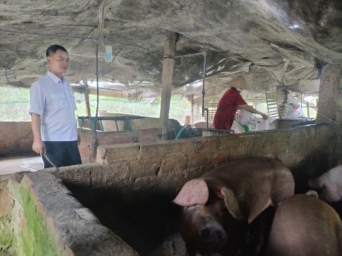 Kiểm tra tình hình chăn nuôi tại tỉnh Vĩnh Long. Ảnh: Minh Đảm.