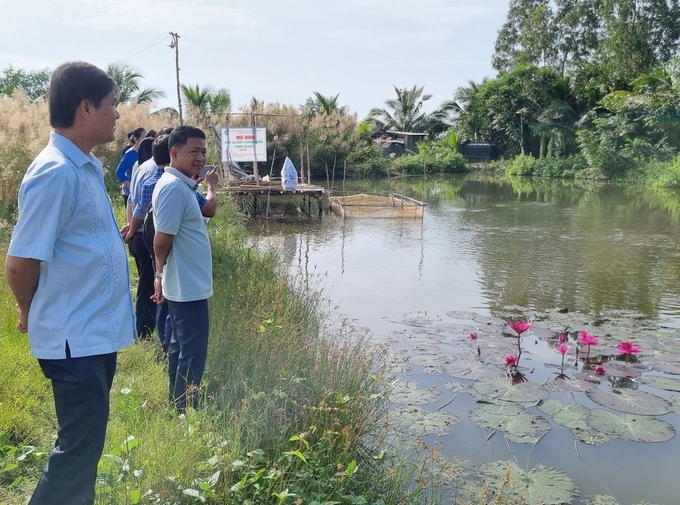 Mô hình nuôi cá chốt mở ra hướng đi mới nhằm tận dụng quỹ mặt nước ao hồ để gia tăng thu nhập cho nông dân. Ảnh: Diễm Trang.