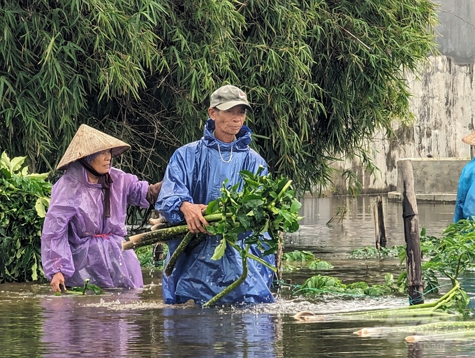 Mưa lớn tại tỉnh Thừa Thiên - Huế từ ngày 1/12 có nguy cơ cao gây ngập úng các vùng thấp trũng thuộc hạ lưu các sông lớn. (Ảnh tư liệu).