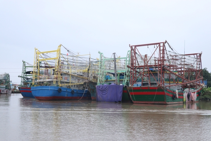 Hàng loạt tàu đánh cá xa bờ ở Lập Lễ, huyện Thủy Nguyên ứng dụng công nghệ mới trong khai thác hải sản. Ảnh: Đinh Mười.