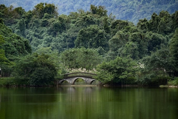 The peaceful scene inside Cuc Phuong National Park. Photo: Tung Dinh.