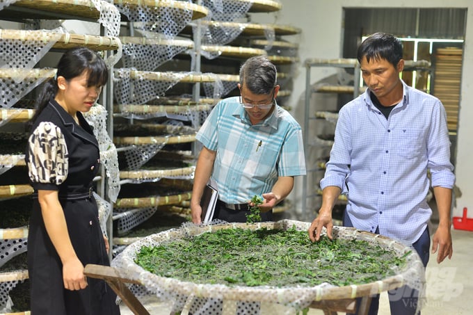 There are currently 38,000 households engaged in silkworm production nationwide, and the growth rate is increasing rapidly over the years. Photo: Minh Hau.