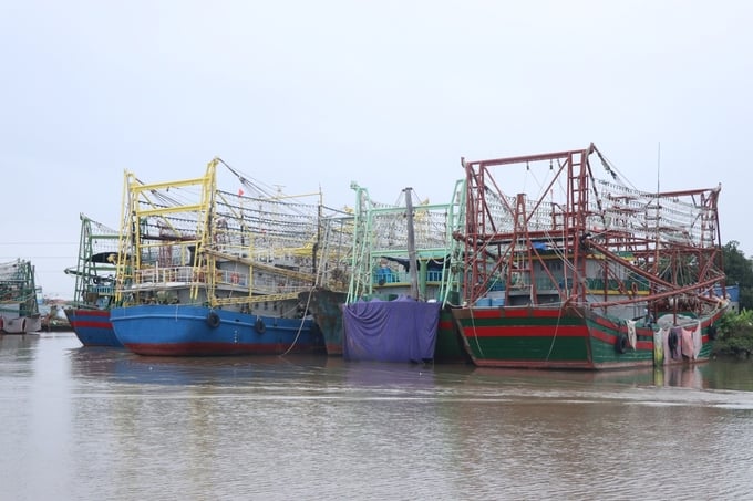 A fleet of offshore fishing vessels in Lap Le commune, Thuy Nguyen district, incorporating modern technologies in seafood harvesting. Photo: Dinh Muoi.