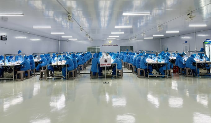 Workers at Thanh Dung Import-Export Joint Stock Company diligently processing for their first order. Photo: Quang Yen.