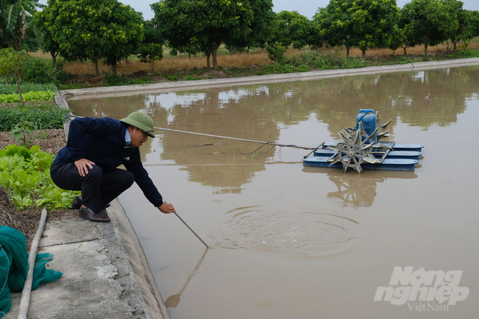 Mô hình 'ao bán nổi' của HTX Hưng Phát tại xã Quang Hưng, huyện Phù Cừ. Ảnh: K.Trung.