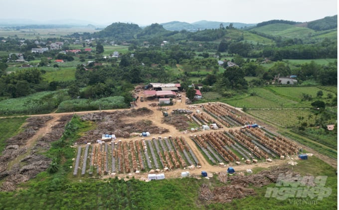 Cơ sở chế biến gỗ keo Đại Sứ tại huyện Thạch Thành, Thanh Hóa. Ảnh: Quốc Toản.