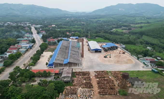 Cơ sở chế biến gỗ keo của Công ty LHD tại thôn Nhà Máy xã Bãi Trành, huyện Như Xuân, Thanh Hóa. Ảnh: Quốc Toản. 