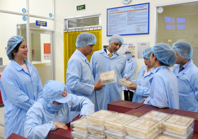 Workers at the input processing factory of Khanh Hoa Salangane’s Nest Company. Photo: KS.