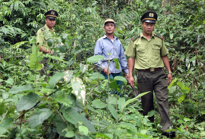 Công nghệ số giảm tải áp lực cho lực lượng tham gia bảo vệ rừng. Ảnh: Việt Khánh.