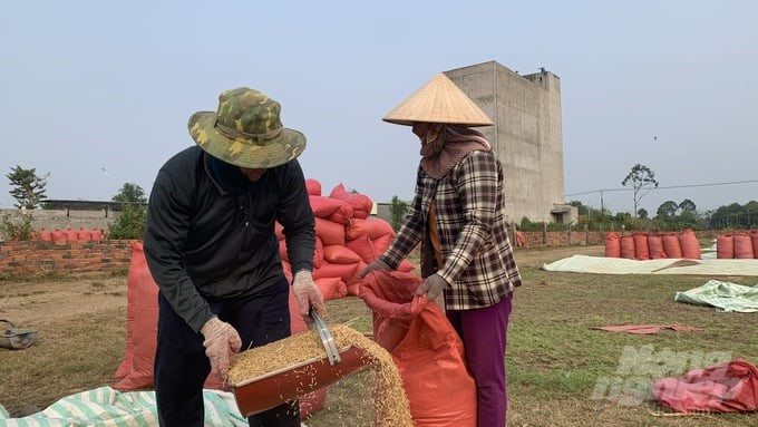 In the last autumn-winter crop, the rice yield of farmers in Chau Thanh district, Tra Vinh province, reached 7 tons/ha, with a higher selling price than that of previous years. After deducting all expenses, rice growers still earned a profit of over VND 30 million/ha. Photo: Ho Thao.