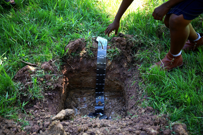 Healthy and fertile soils are vital in building resilience to the impacts of climate change and transforming agrifood systems.