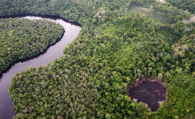 An area in Colombia which has been been the target of a deforestation project linked to carbon credits.