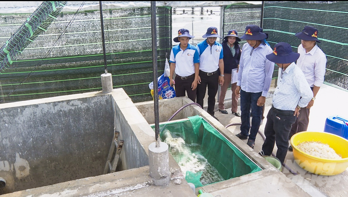 Circulating water treatment system at Truong Ro Sa's shrimp farm. Photo: Kim Anh.