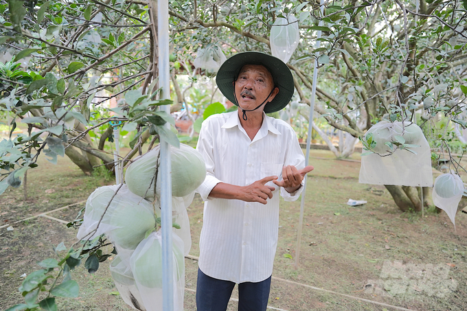 Lão nông dân 'cổ cồn trắng' Dương Văn Minh nói về vườn bưởi canh tác khác người của mình từ hơn 20 năm trước. Ảnh: Phúc Lập.