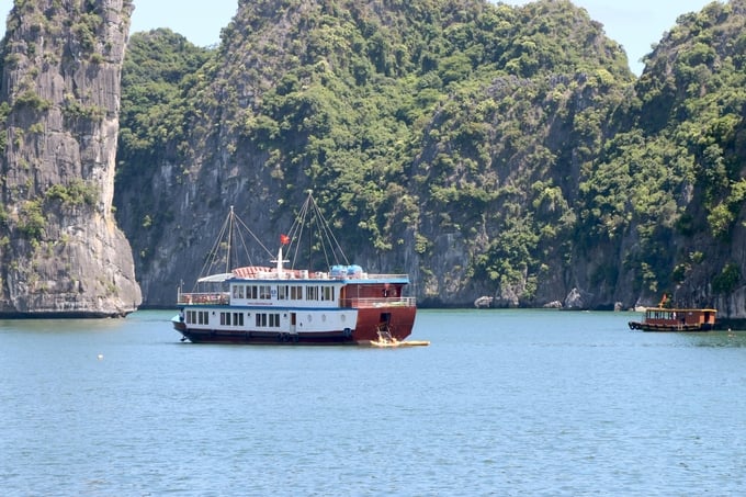 Coral reefs hold immense value for conservation efforts and tourism development, particularly through the unique experience of coral diving. Photo: Dinh Muoi.