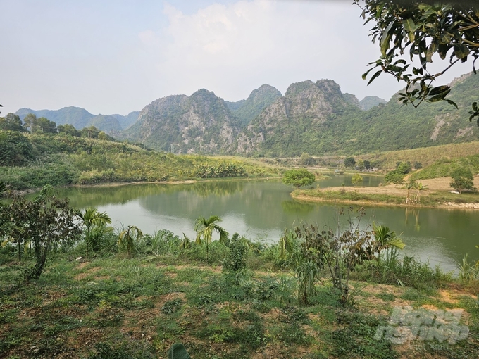 Khu vực chăn nuôi hình lòng chảo, một bên là núi đá, bên kia là hồ nước rộng mênh mông, không khác gì khu di lịch sinh thái. Ảnh: Quốc Toản.