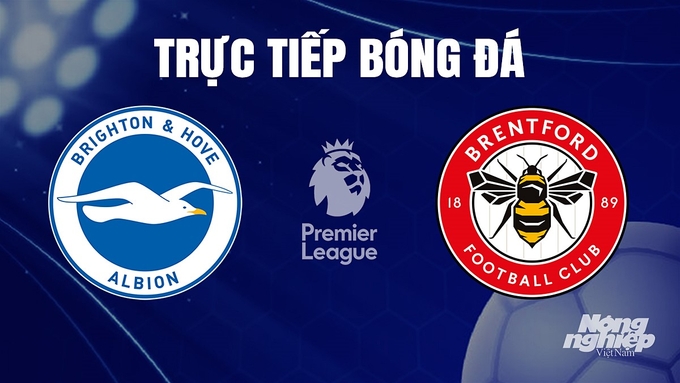 Trực tiếp bóng đá Ngoại hạng Anh giữa Brighton vs Brentford hôm nay 7/12/2023