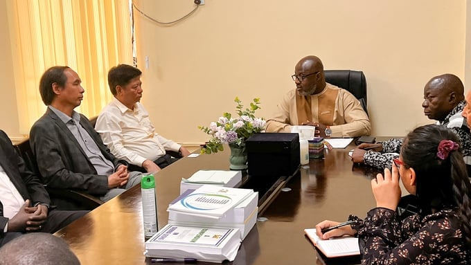 Bộ trưởng Bộ Nông nghiệp và An ninh lương thực Cộng hòa Sierra Leone Abu Bakarr Karim (ngồi giữa) làm việc với đoàn chuyên gia Việt Nam.