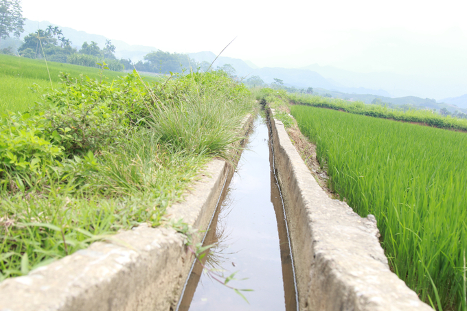 Tất cả các xã của huyện Yên Bình đã hoàn thành tiêu chí thủy lợi, đảm bảo tưới tiêu chủ động cho diện tích gieo cấy lúa. Ảnh: Thanh Tiến.
