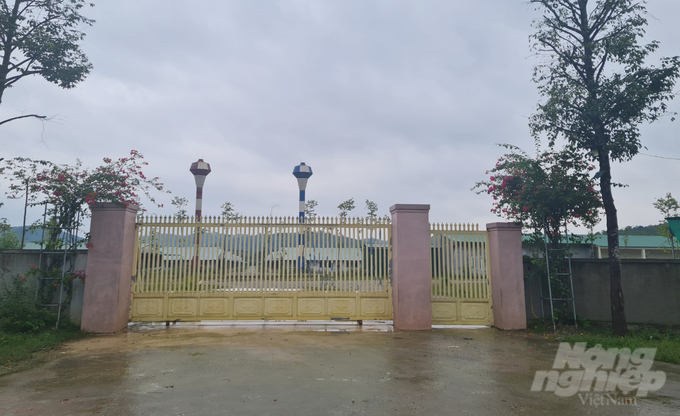 While the procedure was still incomplete, the investor blatantly brought thousands of pigs into the farm, paying no mind to the anxiety and insecurity of the people of Nghi Cong Nam commune. Photo: Viet Khanh.