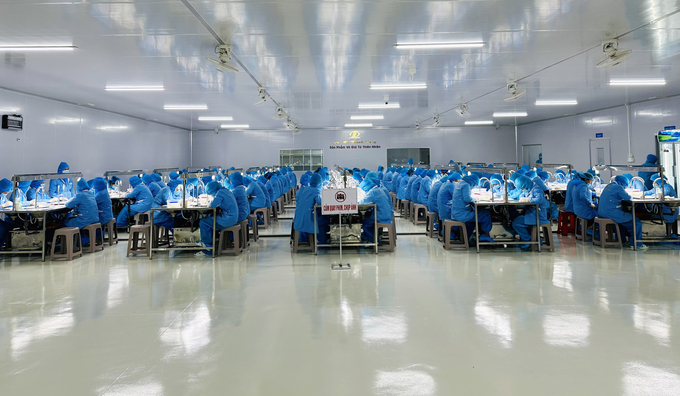 Workers of Thanh Dung Bird's Nest Import-Export Joint Stock Company are busy preparing the first order. Photo: Quang Yen.