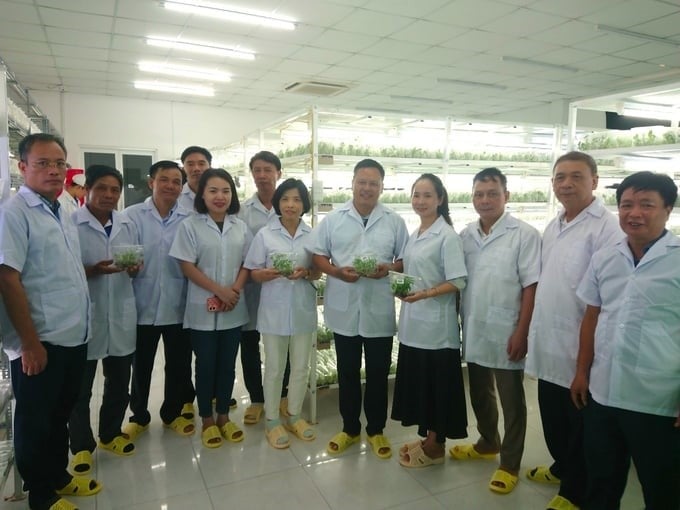 The Hanoi delegation visits banana production technology in the South. Photo: TL.