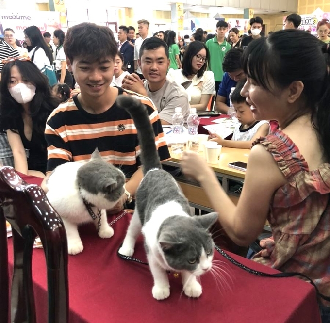 Người dân đưa thú cưng tới Ngày hội Thú cưng để kiểm tra. Ảnh: Quang Linh.